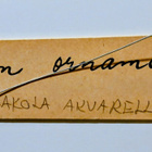 Alpo Jaakola "Han-suon ornamentti" - pikkukuva 5
