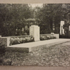 Tammela: 1928 Sankaripatsas *** (85) - pikkukuva 1