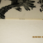 *LP* TUCKY BUZZARD Buzzard - pikkukuva 3