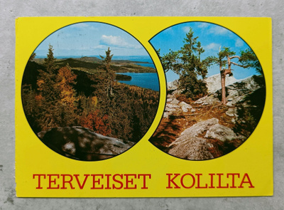 Lieksa, Koli