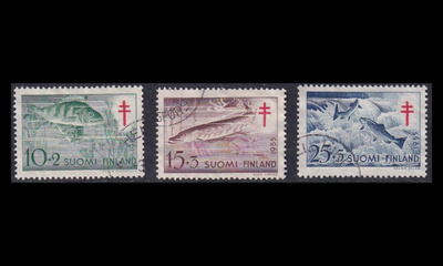 443-5 o Tuberkuloosi kaloja (1955)