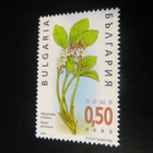Bulgaria 2003: kasveja - pikkukuva 4