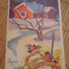 Olavi Vikainen, punatulkut lyhteellä ,nyrkkiposti - pikkukuva 1