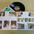 IRON BUTTERFLY - Metamorphosis LP - pikkukuva 2