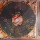 CD: Suburban Tribe - pikkukuva 1