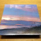 Emerson, Lake & Palmer - Love Beach LP 1978 - pikkukuva 2