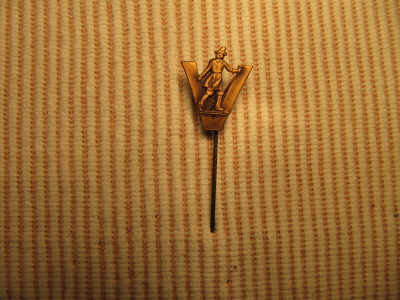 Vasaloppet rintamerkki .