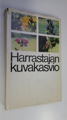 Lorentz (suunnittelu) Bolin : Harrastajan kuvakasvio