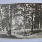 VANHA Postikortti Kuopio 1920-l - pikkukuva 1