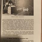 Kämppäemännän käsikirja - pikkukuva 4