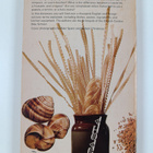 Rosemary Hume ym. : The Penguin Dictionary of Cookery - pikkukuva 2