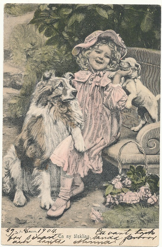 Tyttönen ja koirat - Carte Postale, kulk. 1904
