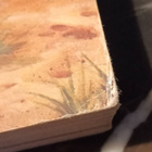 Dragonlance – Leaves from the Inn of the Last Home 1. painos - pikkukuva 4