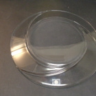 Iittala Tapio Wirkkala Viva lautanen - pikkukuva 2