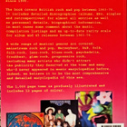 Vernon Joynson TAPESTRY OF DELIGHTS kirja 2006 UK 1963-76 - pikkukuva 2