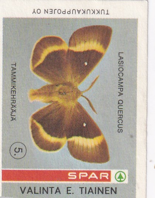Kitee, E, Tiainen , SPAR   b566