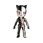 DC JUSTICE LEAGUE 20 CATWOMAN X-RAY (14 357) n.10cm vinyl a - pikkukuva 1