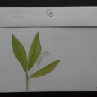 FDC Kukkia Kielot 1.1.2002 LaPe 1590-1594 - pikkukuva 2