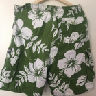 ABERCROMBIE & FITCH NEW YORK SHORTSIT KOKO 36 - pikkukuva 2