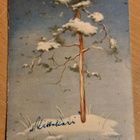 Martta Wendelin, Hy 255 R1, kulkenut - pikkukuva 1