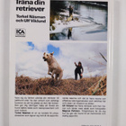 Torkel Näsman ym. : Träna din retriever - pikkukuva 2