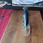 Hurus Vaappu 5,5cm Jalokalalle - pikkukuva 3