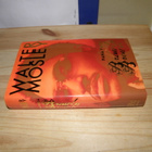 Walter Mosley Paha poika Brawly Brown (sidottu) - pikkukuva 1
