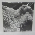 40 WATTS SUN - WIDER THAN THE SKY UUSI 2LP - pikkukuva 2