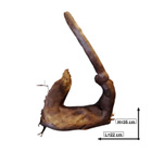Uniikki akvaariojuurakko 22 cm | P132621 - pikkukuva 3