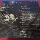 ROY HARPER - STORMCOCK M-/M- LP - pikkukuva 2