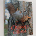 Juha Suonpää ym. : Omppuorava - pikkukuva 1