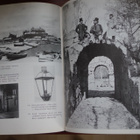 Koskimies: Hämeenlinnan kaupungin historia 1875-1944 (1966) - pikkukuva 2