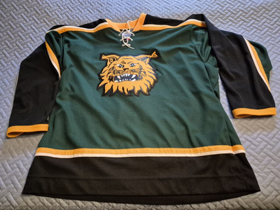 Ilves fanipaita: 41 Helminen