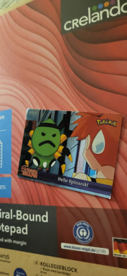 Pokemon Card - Hello Spinarak! Snap14 - Screen Snaps!