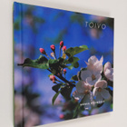 Toivo : onnea etsimässä - pikkukuva 1
