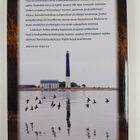 Viron linnut : havainnot 1990-2010 - pikkukuva 2