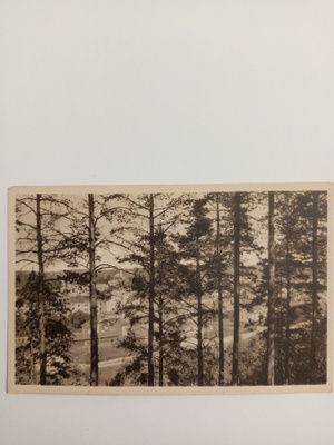 Lahti Selänmäeltä