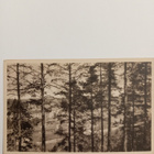 Lahti Selänmäeltä - pikkukuva 1