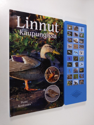 Pertti Koskimies : Linnut kaupungissa