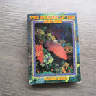 PELIKORTIT THE WONDER OF RED SEA - pikkukuva 2