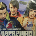 NAPAPIIRIN SANKARIT DVD - pikkukuva 1