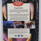 Bengalintiikeri DVD ja vihko - pikkukuva 2