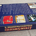 NES: Ironsword: Wizards & Warriors II, SCN - pikkukuva 2