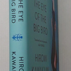 Hiromi Kawakami - Under the Eye of the Big Bird - pikkukuva 2