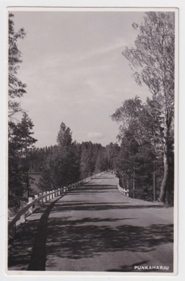 Punkaharju