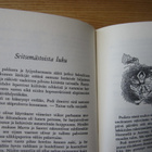 Kätkijät yläilmoissa - Mary Norton - pikkukuva 5