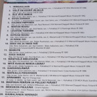 DVD Karaoke dvd 2kpl - pikkukuva 3