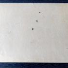 Opetustaulu Tilgmann n. 41,2 x 32,5 cm talvi - pikkukuva 2