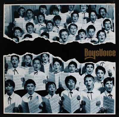 BOYSVOICE: S/T 1990 LP