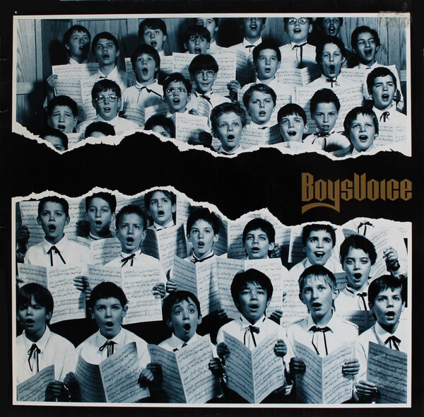 BOYSVOICE: S/T 1990 LP